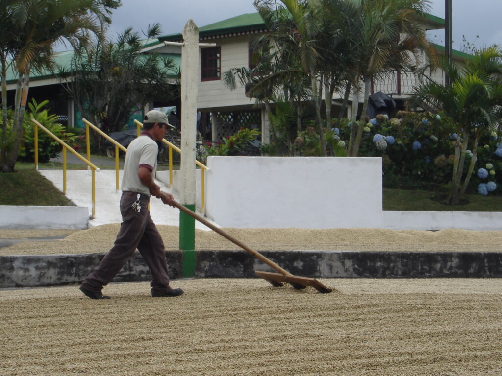 Costa Rica in January | January in Costa Rica