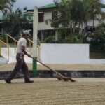 Costa Rica in January | January in Costa Rica