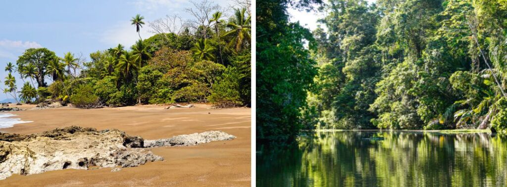 Corcovado or Tortuguero