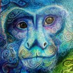 mono soñando que es dios, dios soñando que es mono