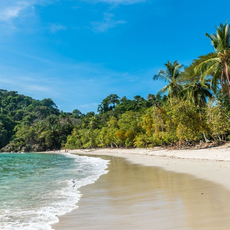 Tamarindo or Manuel Antonio | Must-see Places in Costa Rica