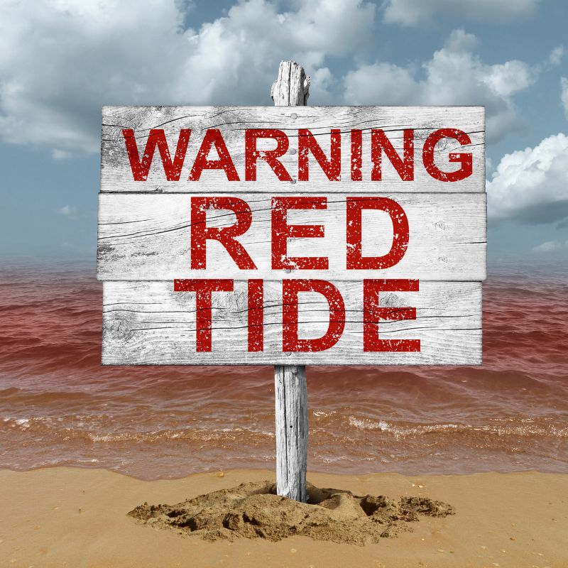 Costa Rica Travel Safety Tips