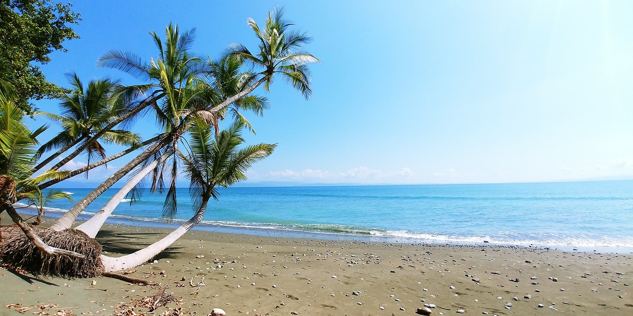 Costa Rica Travel Safety Recommendations (Regarding Crime)