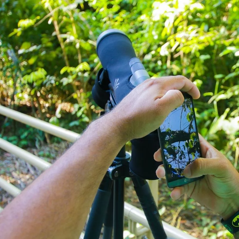 guía turístico privado en Costa Rica