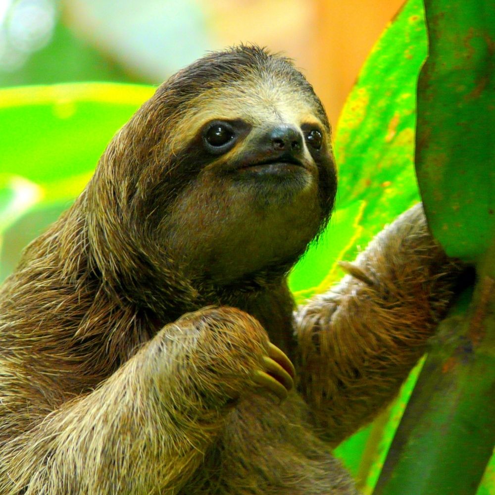 Must-visit destinations in Costa Rica, Arenal Volcano and La Fortuna