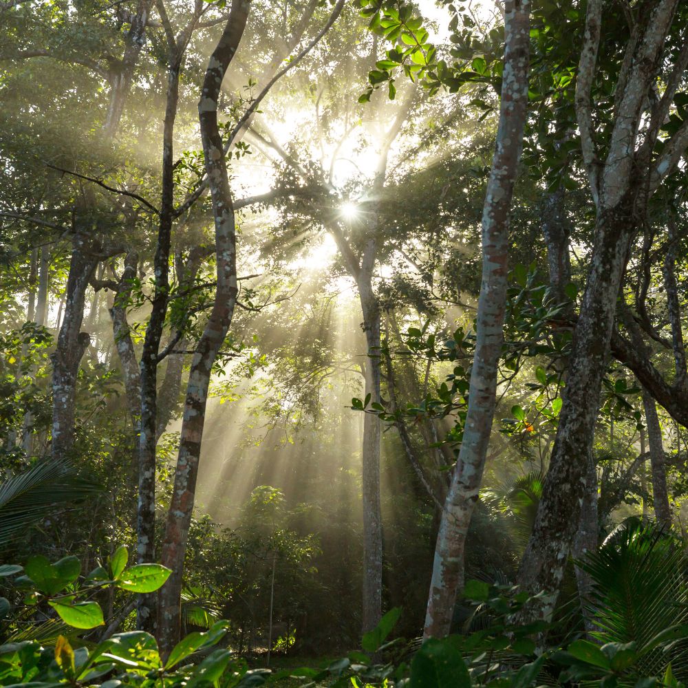 Costa Rica Travel Safety