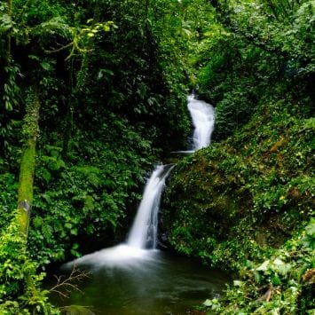 Sendero de la Cuecha y la cascada | Senderos en Monteverde