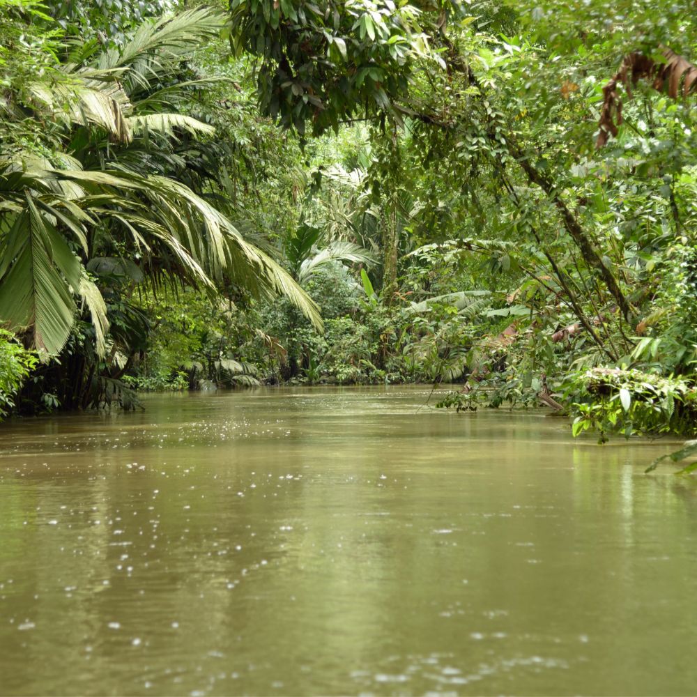 Must see Places in Costa Rica Tortuguero 