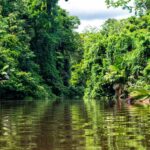 Must see Places in Costa Rica: Tortuguero National Park