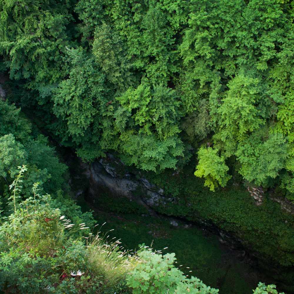 Must-visit places in costa ricaa | Monteverde Cloud Forest