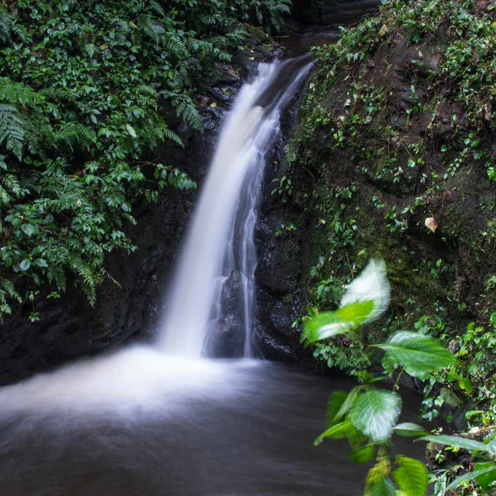 Must See Places in Costa Rica | Monteverde Cloud Forest