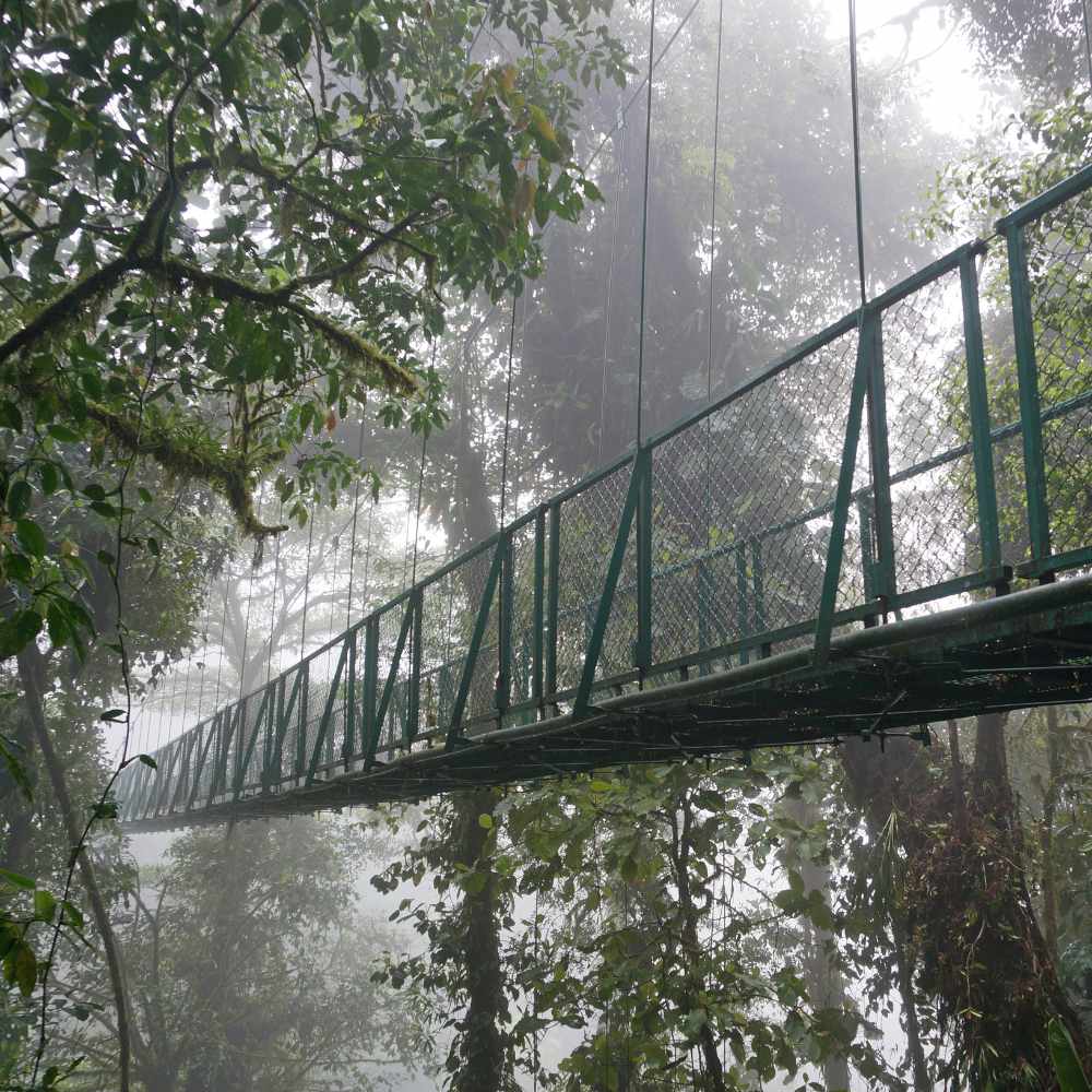 Must-visit places in Costa Rica | Monteverde Cloud Forests