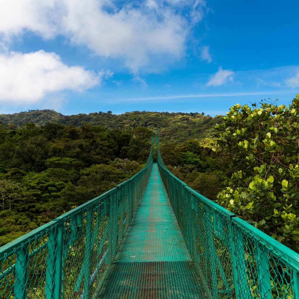 Must See Places in Costa Rica | Monteverde Cloud Forest
