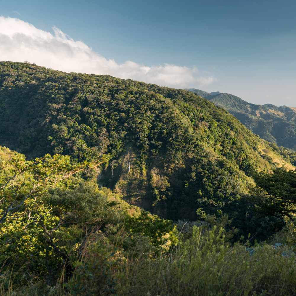 Must-visit places in costa ricaa | Monteverde Cloud Forest