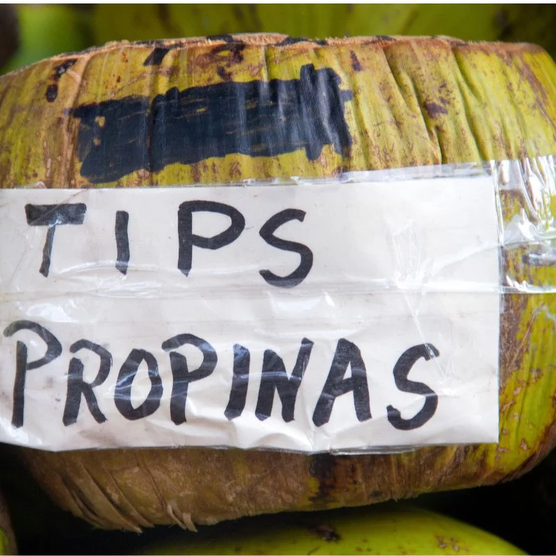 Tipping in Costa Rica | Epic Adventures Costa Rica