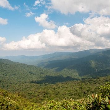 Lado caribeño de la Reserva del Bosque Nuboso de Monteverde | Vista de la selva tropical | Senderos en Monteverde
