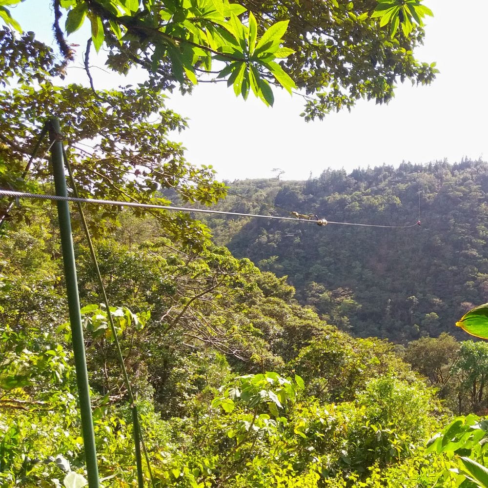 ziplining in Manuel Antonio