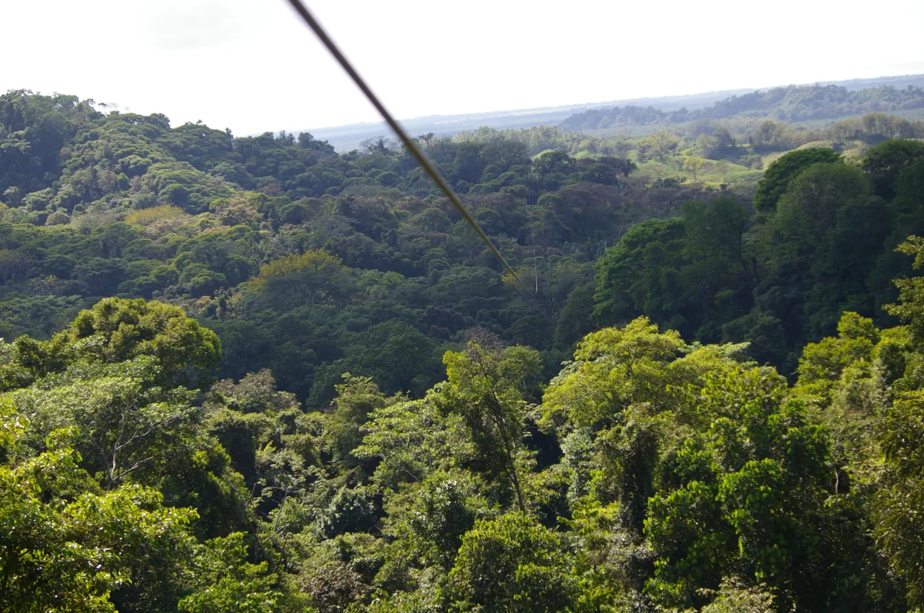 ziplining in Manuel Antonio