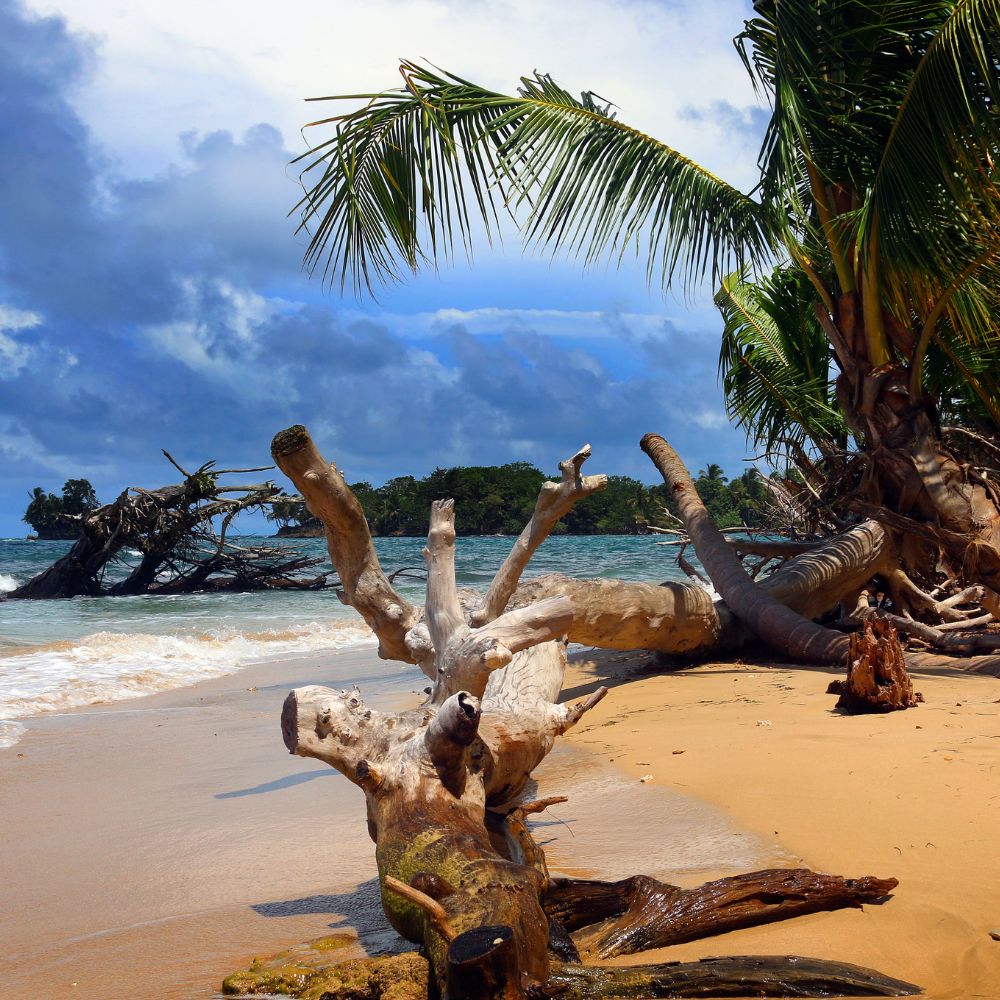 Bocas del Toro, Panama