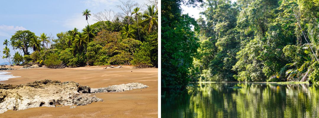 Corcovado or Tortuguero 