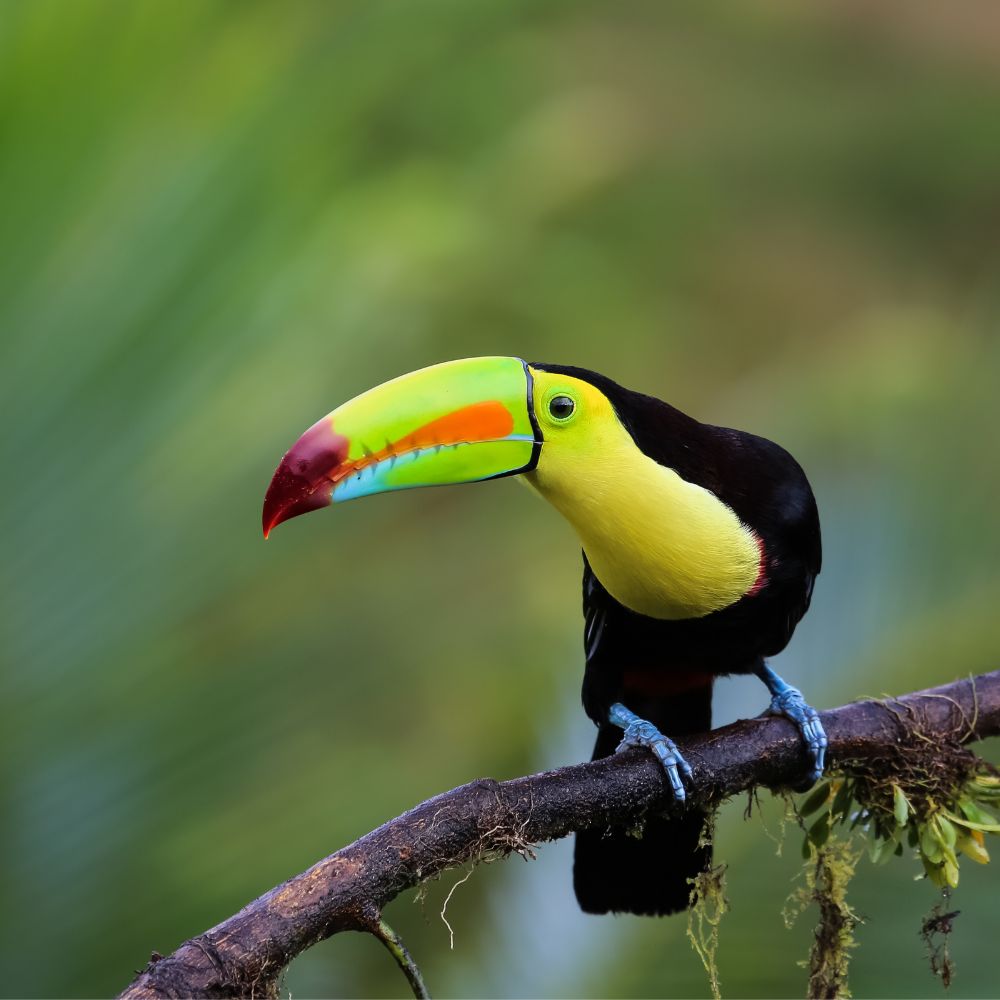 Vacaciones en familia en Costa Rica