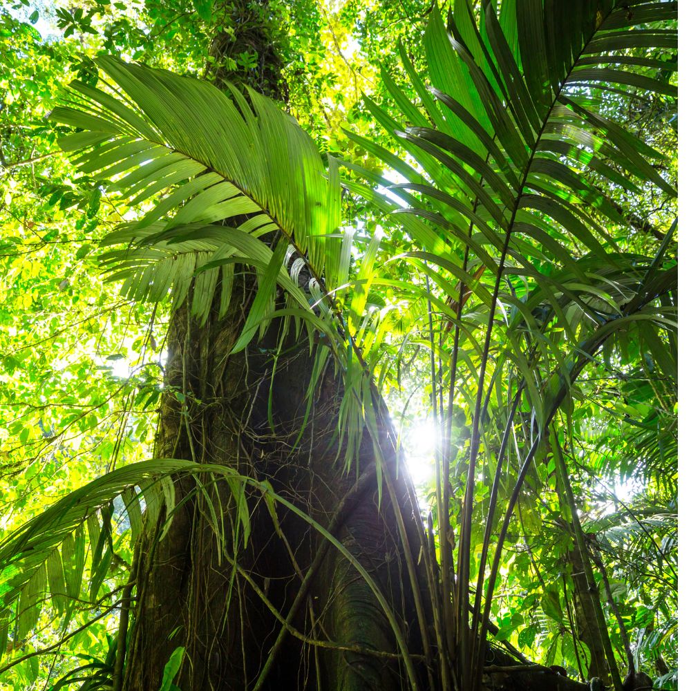 Vacaciones en familia en Costa Rica