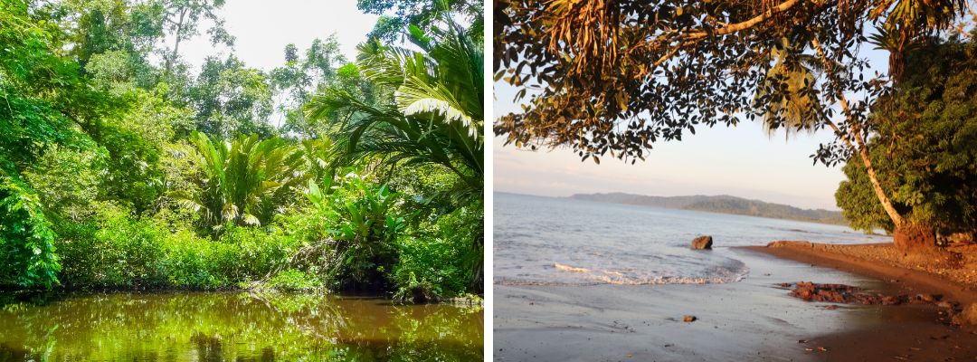 Pacific or Caribbean Coast in Costa Rica