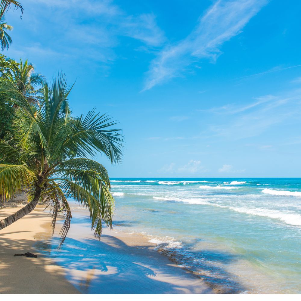 Pacific or Caribbean Coast in Costa Rica