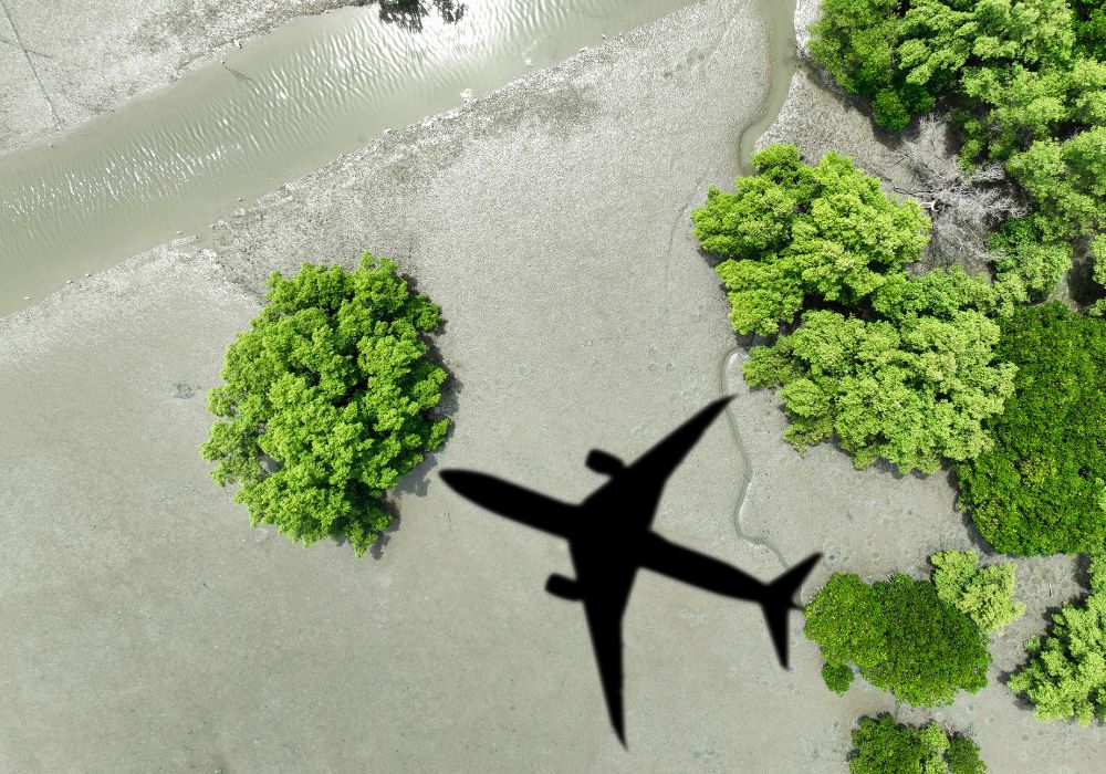 Responsible Travel Practices