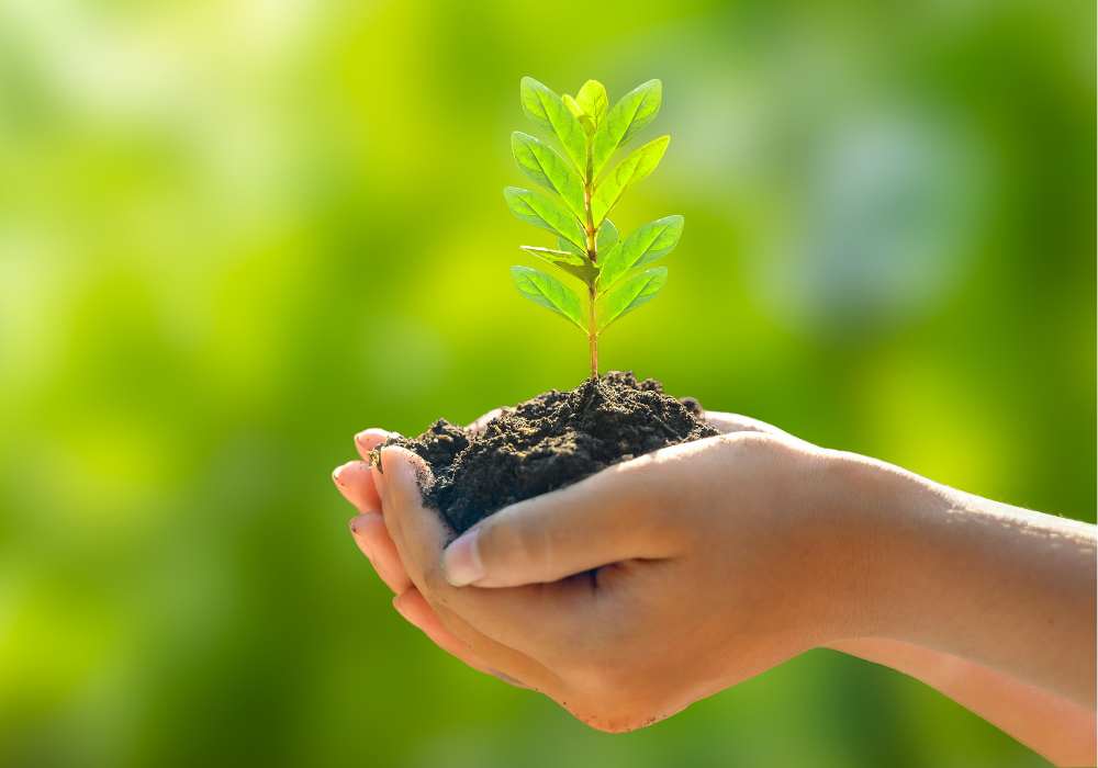 Sustainable Travel in Costa Rica