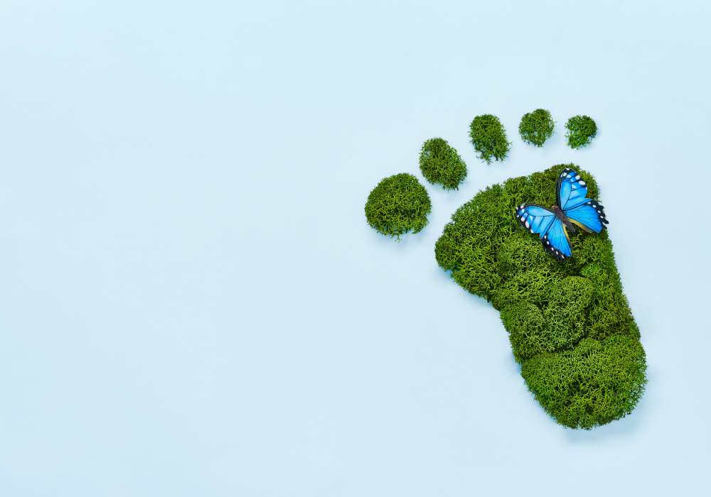 Sustainable Travel in Costa Rica