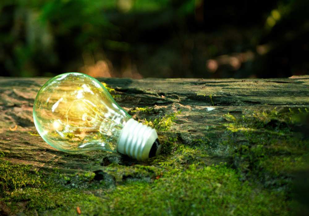 Sustainable Travel in Costa Rica