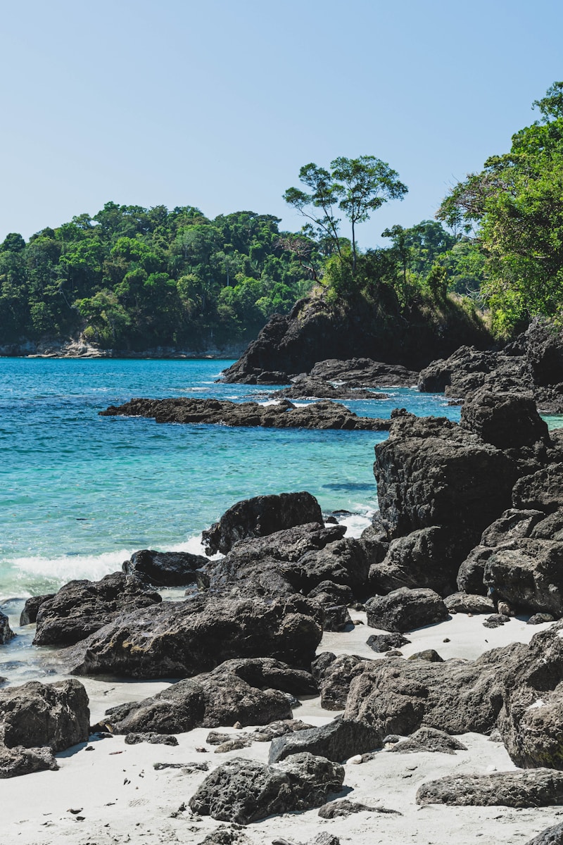 Manuel Antonio National Park | green trees on black rock formation near blue sea during daytime